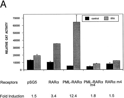 Fig. 3. Transcriptional activity of wild-type and mutant receptors. (A) TRE-tk-CAT reporter or (B) βRE-tk-CAT reporter was cotransfected with the indicated receptors. pSG5 is the vector alone. Relative CAT activity with () or without (▪) 10−6 mol/L tRA treatment is shown with calculated fold induction below. Each data point represents results from three independent transfections. (C) The βRE-tk-CAT reporter was cotransfected with PML-RARα m4 and RARα wt expression vectors. The ratio of PML-RARα m4 to RARα was varied, and the total amount of receptor plasmids was kept at 0.7 μg for each transfection.