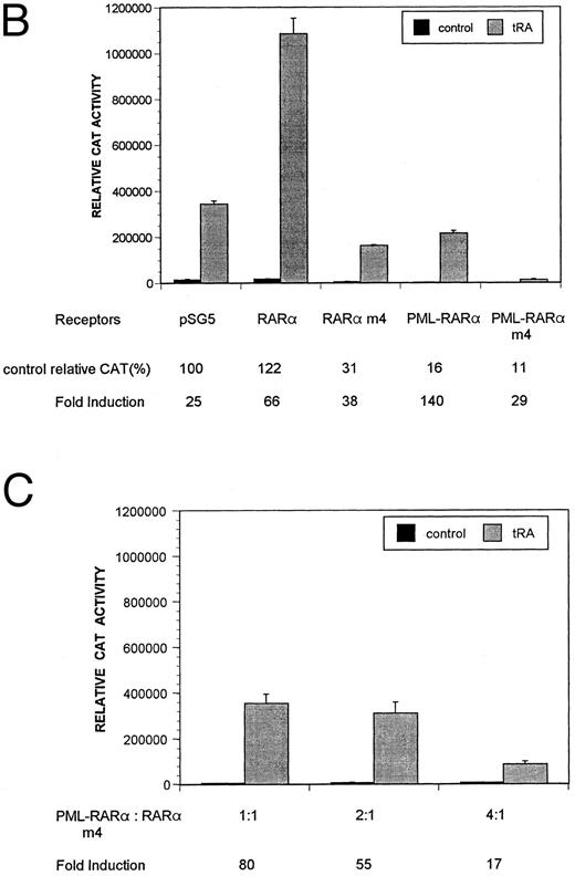 Fig. 3. Transcriptional activity of wild-type and mutant receptors. (A) TRE-tk-CAT reporter or (B) βRE-tk-CAT reporter was cotransfected with the indicated receptors. pSG5 is the vector alone. Relative CAT activity with () or without (▪) 10−6 mol/L tRA treatment is shown with calculated fold induction below. Each data point represents results from three independent transfections. (C) The βRE-tk-CAT reporter was cotransfected with PML-RARα m4 and RARα wt expression vectors. The ratio of PML-RARα m4 to RARα was varied, and the total amount of receptor plasmids was kept at 0.7 μg for each transfection.