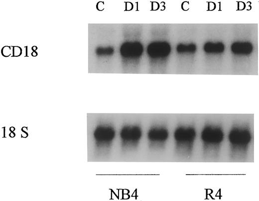 Fig. 4. Northern analysis for CD18 mRNA expression in NB4 and R4 cells. Total RNA was prepared from untreated cells (control) or cells cultured for 1 and 3 days with 10−6 mol/L of tRA as indicated. 18s was used as control for RNA loading.