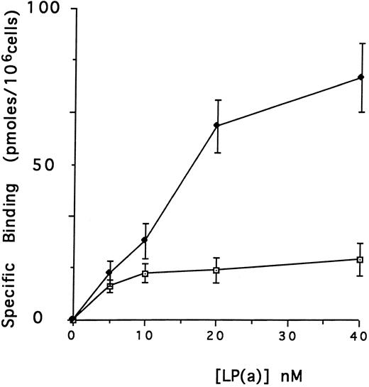 Fig. 1. Defensin stimulates the binding of Lp(a) to vascular endothelial cells. HUVECs were incubated with 0 to 40 nmol/L 125I-Lp(a) alone or in the presence of 3 μmol/L defensin for 4 hours at 4°C and the specific binding was determined. Binding of Lp(a) in the absence (⊡) and in the presence (♦) of defensin. The mean ± SD of three experiments is shown.