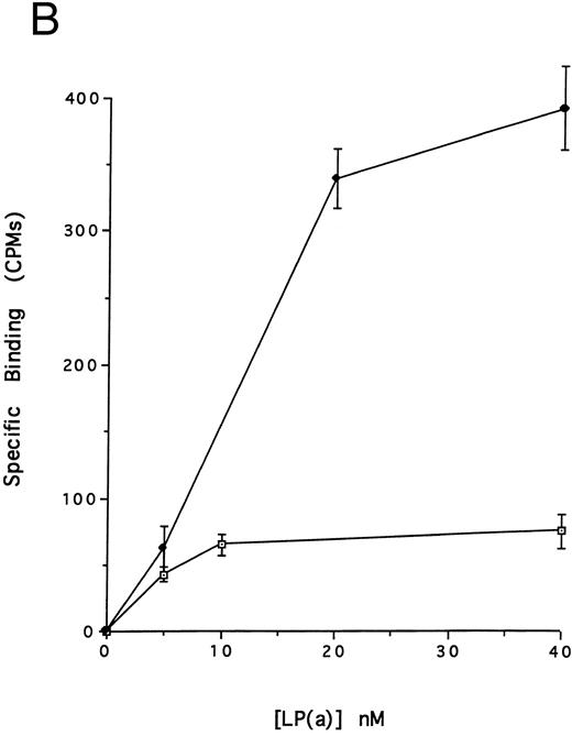 Fig. 3. (A) Binding of defensin to vascular smooth muscle cells. 125I-defensin was incubated with HVSMCs alone or in the presence of 100-fold molar excess unlabeled defensin and the cell-associated radioactivity was determined. (⊡) Total binding; (♦) specific binding. The mean ± SD of three experiments is shown. (B) Defensin stimulates the binding of Lp(a) to HVSMCs. Cells were incubated with the indicated concentrations of 125I-Lp(a) alone or in the presence of 3 μmol/L defensin for 4 hours and the specific binding was determined. Binding of Lp(a) in the absence (⊡) and in the presence (♦) of defensin. The mean ± SD of three experiments is shown.