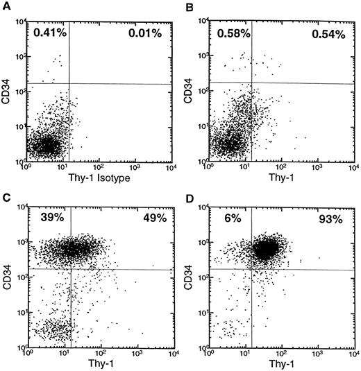 Fig. 2. Flow cytometric analysis of cell fractions during the purification of CD34+Thy-1+ cells. CD34 versus Thy-1 expression is shown for lymphoblastoid-gated (by forward versus side scatter) cells. (A) Apheresis sample with isotype control for Thy-1. (B) Apheresis sample. (C) Reanalysis after CD34+ cell enrichment. (D) Reanalysis after HSCS. The percentage of CD34+ or CD34+Thy-1+ cells is given in the upper left or upper right quadrant of each panel, respectively.