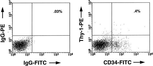 Fig. 1. FACS profile of marrow cells from a CB17/SCID mouse transplanted 5 weeks previously with 2 × 107 human marrow cells. In the left panel, the cells were stained with an irrelevant mouse IgG isotope control antibody. In the right panel, the cells were stained with antihuman-CD34–FITC (8G12-FITC) and antihuman-Thy–1-PE (5E10-PE). The human CD34+ Thy-1+ cells seen in the right upper quadrant of this panel comprised approximately 0.4% of all the viable cells in the marrow of that mouse, whereas the total population of human CD34+ cells comprised about 8% of the cells.