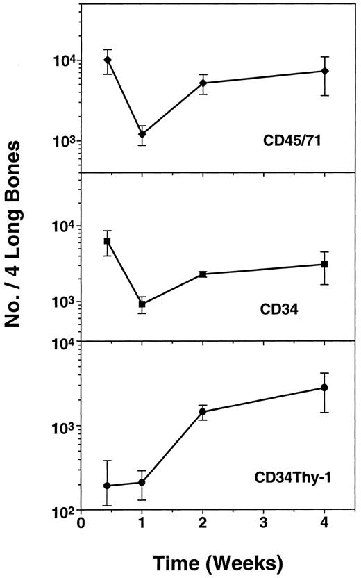 Fig. 2. Kinetics of recovery of human (CD45/71)+, CD34+, and CD34+ Thy-1+ cell populations in CB17/SCID mice between 2 days and 2 weeks after transplantation of 4 × 107 normal light density human bone marrow cells. Values shown represent the mean ± standard error of mean (SEM) of data pooled from two experiments in each of which a group of mice were injected with marrow from a different human donor and then one to three animals per experiment killed for individual analysis at the time points shown.