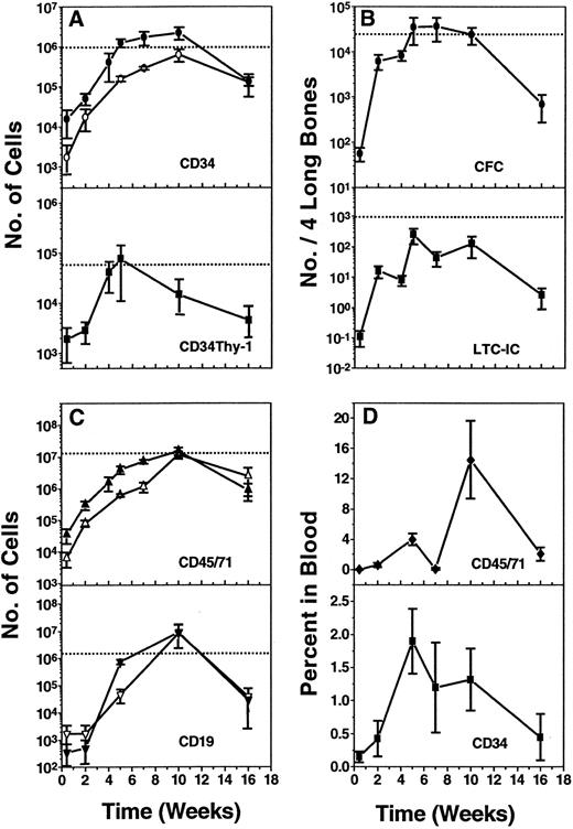 Fig. 5. Kinetics of regeneration and maintenance of different populations of human cells in NOD/SCID mice between 2 days and 16 weeks after transplantation of 2 × 107 light density human marrow cells. (A and C) show the numbers of human cells (expressing the antigens indicated) that were found to be present in the marrow of two femurs and two tibias (solid symbols) or in the spleen (open symbols). In (C), CD19 refers to cells identified as CD34−CD19+ (most of the CD19+ cells seen were typically CD34−). (B) shows the numbers of human CFC and LTC-IC present in the two femurs and two tibias of the same mice, and (D) shows the percent of all nucleated cells in the blood of these mice that were human CD34+ or human (CD45/CD71)+ cells. In (A to C), the dotted line shows the number of cells of the type evaluated that were present in the original innoculum injected. Values shown are the mean ± SEM of results pooled from individually assessed animals (two to three animals per experiment) killed at the time points shown.