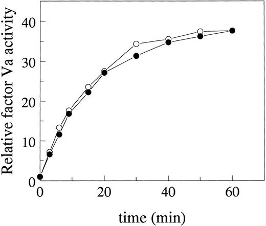 Fig. 2. Effect of glycosidase treatment of factor V on its activation by thrombin. Factor V was preincubated with neuraminidase plus N-glycanase according to the Materials and Methods and then activated by thrombin. The time course of activation of factor V treated with glycosidases was followed (○) and compared with the control nontreated factor V (•). Factor Va procoagulant activity was determined in PT assays using factor V-deficient plasma and expressed relative to the activity of single-chain factor V that was not activated by thrombin.