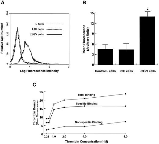 Fig. 1. Comparison of thrombin binding in cells expressing the full GP Ib-IX-V complex versus cells expressing only GP Ib-IX. (A) Cells were incubated with thrombin at a concentration of 1 nmol/L, and bound thrombin was detected by flow cytometry after labeling with the FITC-conjugated monoclonal antibody EST-7. Shown is a representative flow cytometry histogram for comparison of thrombin binding at 1 nmol/L in L2H cells (expressing GP Ib-IX), L2H/V cells (expressing the full GP Ib-IX-V complex), and control untransfected parental L cells. (B) Mean fluorescence intensity of the whole cell population from 5 experiments like the 1 depicted in A. *Differences in thrombin binding between L2H/V cells and the other 2 cell lines were statistically significant (Student's t test: t = 10.795, n = 7, P < .001). (C) Thrombin binding to L2H/V cells was evaluated at thrombin concentrations of 0.25 to 8 nmol/L. Specific binding was determined by subtracting the amount of thrombin bound to parental L cells (nonspecific binding) from that bound to L2H/V cells (total binding).