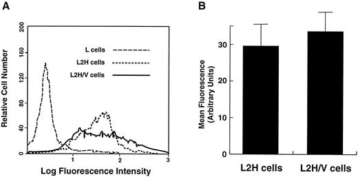 Fig. 2. Comparison of GP Ibα surface levels in L2H and L2H/V cells. The cells were labeled with FITC-conjugated anti-GP Ibα monoclonal antibody AN51. (A) Representative flow cytometry histograms of GP Ibα surface levels. (B) Mean fluorescence intensity from 3 experiments. Differences in antibody binding to the 2 cell lines were not statistically significant (paired Student's t test: n = 3, t = 2.275, P = .18).