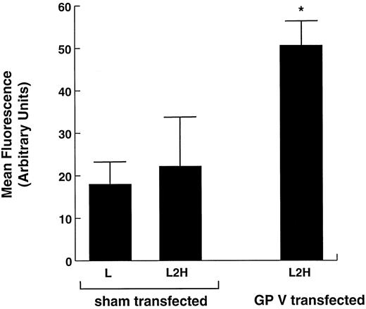 Fig. 3. Thrombin binding to L2H cells transiently expressing GP V. L2H cells were either sham-transfected with an empty plasmid or transfected with a plasmid containing the gene for GP V. Seventy-two hours after transfection, the thrombin-binding capacity of the cells was compared as in Fig 1. *Binding to this cell line was significantly greater than to the other 2 cell lines (Student's t test: n = 5, t = 13.263, P < .001).