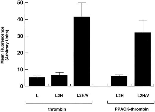 Fig. 4. Binding of PPACK-thrombin. Binding of native α-thrombin was compared with that of proteolytically inactivated thrombin (PPACK-thrombin) in L2H/V cells. Data for binding of α-thrombin to L and L2H cells and of PPACK-thrombin to L2H cells are shown for comparison. Binding was evaluated as in Fig 1. Binding of native thrombin or PPACK-thrombin to L2H/V cells was significantly greater than to the other cell lines (Student's t test: n = 6, t = 11.240, P < .001). The difference in binding to L2H/V cells between native thrombin and PPACK-thrombin did not reach statistical significance (P = .223).