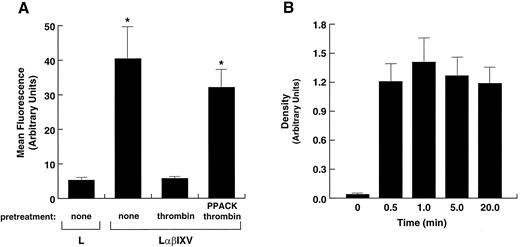 Fig. 5. Thrombin proteolysis of GP V from the surfaces of L2H/V cells. (A) Residual binding of the anti-GP V monoclonal antibody SW16 to L2H/V cells incubated with either buffer alone (none) or 1 nmol/L α-thrombin or PPACK-thrombin for 20 minutes. Untreated parental L cells represent background binding. After the incubation period, hirudin was added to inactivate thrombin. *Significantly different v pretreatment of cells with native thrombin (Student's t test: n = 4, t = 12.415, P < .001). (B) Analysis of GP V released into the supernatant of thrombin-treated cells. Cells were incubated with thrombin for the designated times before addition of hirudin. Aliquots of the supernatant were vacuumed onto nitrocellulose paper using a dot-blot apparatus, and the retained GP V was detected using SW16 and a chemiluminescence detection system. Five similar experiments were performed; the mean ± SD of the values obtained by densitometry of the x-ray film are shown.