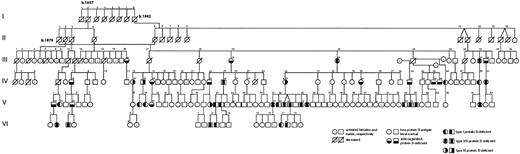 Fig. 1. Family relationship of germline individuals in the protein S–deficient kindred currently under investigation. Additional untested relatives are shown if they were siblings or ancestors of tested family members. All protein S–deficient individuals tested had the Gly295Val mutation. Protein S deficiency subclassification for nonanticoagulated affected family members is as used for genetic analysis (type I, III, and I/III phenotypes). The 3 individuals selected for genetic analysis are indicated with an asterisk (IV-30, V-34, and VI-18). Investigated family members who had venous thrombosis are indicated with a diamond. The single family member who was heterozygous for the factor V Arg506Gln mutation is indicated with a cross.