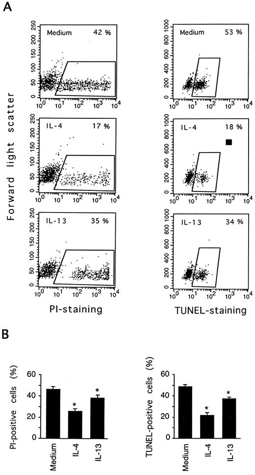 Fig. 2. IL-13 inhibits DNA fragmentation in PB B cells. PB B cells were cultured for 3 days in medium, or in the presence or absence of IL-4 or IL-13. Cell death was measured by PI staining and the TUNEL assay. In (A) the results of one representative experiment are shown to indicate how cell death was estimated using the two methods. (B) shows the results (mean ± SEM) of eight (PI staining) and six (TUNEL staining) experiments. *Significantly different from the medium control values according to the paired Wilcoxon test (P < .05).
