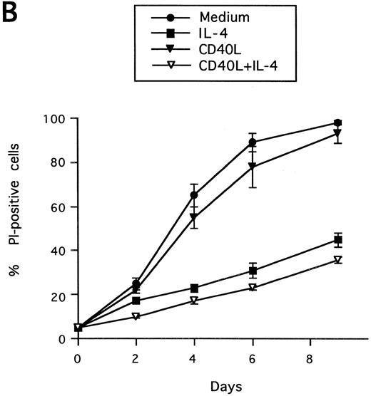 Fig. 3. Synergistic effect of IL-13 with CD40L on PB B-cell apoptosis. B cells were cultured with IL-13 (A) or IL-4 (B), alone or in combination with CD40L (1:10 dilution), and cell death was measured by PI staining at the indicated time points. Results are presented as mean ± SEM of three experiments.