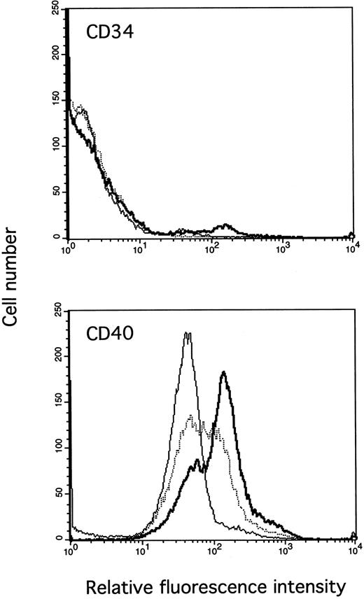 Fig. 6. IL-13 enhances CD40 expression on PB B cells. Cells were cultured for 3 days in medium (thin line) or with IL-4 (thick line) or IL-13 (dotted line), and cells were stained with the anti-CD40 MoAb G28-5 (lower panel) or an irrelevant isotype-matched control MoAb against CD34 (upper panel). The results are from one representative experiment of three.