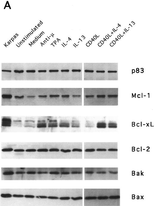 Fig. 7. IL-13–induced PB B-cell survival and expression of Bcl-2 family members. PB B cells were cultured in vitro for 48 hours with the indicated stimuli, and relative protein expression of Mcl-1, Bcl-xL, Bcl-2, Bak, and Bax was determined by Western blotting. Each lane was loaded with 10 μg of total protein, and as a control for equal loading the expression of the nuclear antigen p83 was used. For comparison, levels of Bcl-2 homologues in the B-cell line Karpas 422 are shown. The following concentrations were used: anti-μ (37.5 μg/mL), TPA (10 nmol/L), IL-4 (40 ng/mL), IL-13 (40 ng/mL), and rhuCD40L (10 ng/mL). In (A), one representative blot is shown, whereas the expression of Mcl-1 and Bcl-xL relative to expression in unstimulated cells determined by densitometry is shown in (B) and (C), respectively (mean ± SEM from 3 separate experiments).