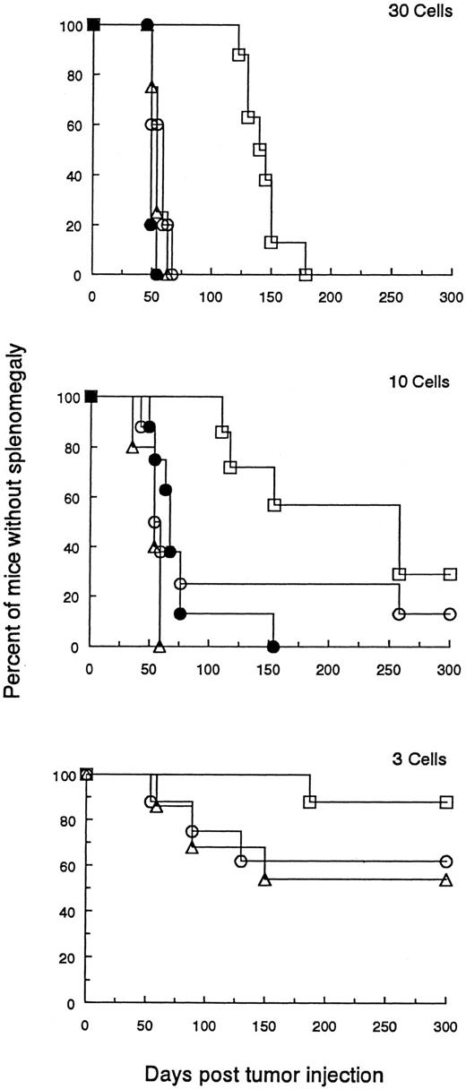 Fig. 5. The malignant potential of DLCs. The percentage of tumor cells was determined by FACS analysis in a population of splenocytes from BCL1 wild-type or DLC-containing spleens. Naive animals were then injected with graded numbers of wild-type BCL1 tumor cells (▵), DLC tumor cells (□), or wild-type BCL1 tumor cells pulsed with 100 μg MαBCL1Id, and co-mixed with 106 splenocytes from BCL1 -Id–immunized mice (○) or wild-type BCL1 tumor cells admixed with a pool of 106 splenocytes from mice containing 0.72% DLCs (•). Cell numbers were 100 (not shown), 30, 10, 6 (not shown), 3, and 1 (not shown). A Breslow-Day test was used to examine the differences between BCL1 and DLC treatment groups across cell number groupings for the occurrence of splenomegaly. Comparisons of time to splenomegaly across treatment groups were provided by numbers of cells entered using a log-rank test (product-limit survival estimates enter into this computation). Multiple comparisons between pairs of treatments were accomplished using a Bonferonni correction to the P values for significant results. Mantel-Haenszel χ2 tests were used to provide an indication of the tendency to increase the occurrence of splenomegaly with increased cell numbers. In comparing BCL1 to DLCs for occurrence of splenomegaly, the Breslow-Day test comparing equal odds ratios of occurrence between the BCL1 and DLCs across cell numbers was not significant (P = .627). The overall odds ratio estimate is 6.103 for likelihood of splenomegaly from BCL1 compared with DLCs. The comparison by log-rank test for time to splenomegaly for mice receiving DLCs versus the other treatment groups was significantly different for cell numbers (P values in parentheses) of 100 (.0001), 30 (.0001), 10 (.0031), and 6 (.0194). No statistical difference was observed when 3 (.351) or 1 (.085) cells were injected. (Analogous results were also seen when the data were analyzed by a standard t-test.) There were no statistical differences in occurrence of splenomegaly or time to splenomegaly among the groups (BCL1 , treated BCL1 , or the BCL1 plus DLCs). Mantel-Haenszel statistics indicate an increased occurrence of splenomegaly for increased cell numbers (P values in parentheses): BCL1 (.001), DLC (.001), and treated BCL1 (.005).