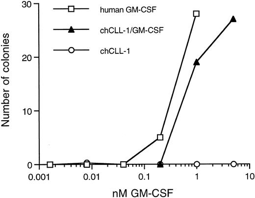 Fig. 4. Colony-forming activity of chCLL-1/GM-CSF. Various concentrations of recombinant human GM-CSF, chCLL-1/GM-CSF, or chCLL-1 were cultured with 7.5 × 104 bone marrow MNC in triplicate in semisolid medium for 14 to 16 days at 37°C until colonies containing more than 30 cells formed.