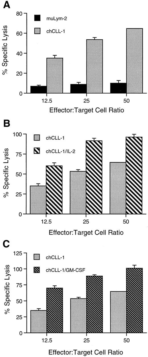 Fig. 6. ADCC activity of chCLL-1 and fusion proteins. MoAb or fusion protein (1 μg/mL) was cultured with ARH-77 human myeloma target cells and human mononuclear effector cells at varying effector:target cell ratios as indicated. (A) Comparison between ADCC mediated by muLym-2 and chCLL-1. (B) Comparison between ADCC mediated by chCLL-1 and chCLL-1/IL-2. (C) Comparison between ADCC mediated by chCLL-1 and chCLL-1/GM-CSF. Specific lysis with the isotype-matched negative control (chTNT-1) was <5% (data not shown). Expressed as mean ± SD. At each effector:target cell ratio, the difference between pairs is significant (P < .001).