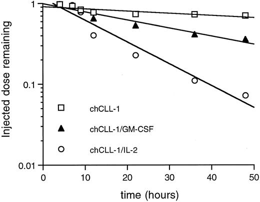 Fig. 7. Whole body pharmacokinetic clearance of 125I-labeled chCLL-1, chCLL-1/GM-CSF, and chCLL-1/IL-2 in nontumor-bearing mice. Activity at injection and at selected times thereafter was measured with a microdosimeter.