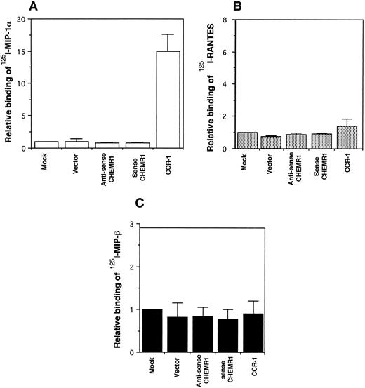 Fig. 7. Binding assay of radiolabeled human MIP-1α (A), RANTES (B), and MIP-1β (C) to CHEMR1. HEK293 cells were transfected with vector only, the CHEMR1 expression construct, or CCR-1 expression construct. After 24 hours, cells were harvested (about 2 × 106 cells) and incubated with 2 nmol/L 125I–MIP-1α, RANTES, and MIP-1α. The binding temperature for the MIP-1α was 37°C, whereas those for RANTES and MIP-1β were room temperature. The relative binding was obtained by dividing specific binding (bound cpm) of the radiolabeled chemokines to transfectants with the expression constructs by the specific-binding (bound cpm) to the mock-transfected cells. The average specific binding of 125I–MIP-1α to CCR-1 at 37°C was 14,000 cpm. The average bound cpm of 125I-RANTES to CCR-1 was 1,500 cpm. The average nonspecific binding of 125I–MIP-1α, RANTES, and MIP-1β to the mock-transfected cells was less than 800 cpm. Standard deviations were calculated by using three independent transfections and binding assays.