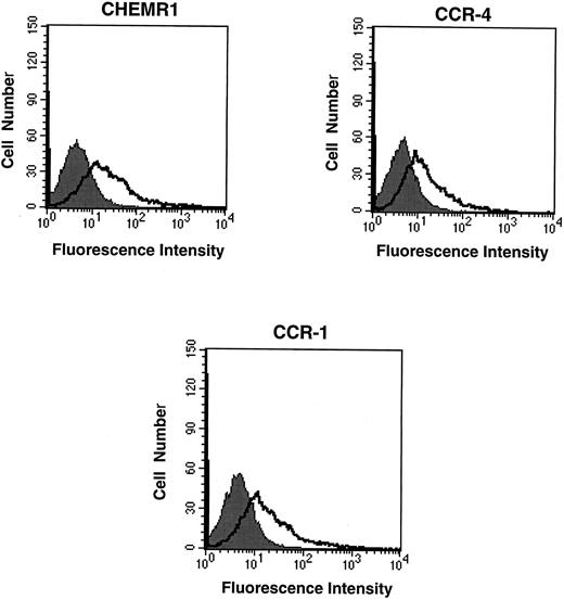 Fig. 8. Flow cytometric analysis of the expression of chemokine receptors in transfected HEK 293 cells. Twenty micrograms of FLAG epitope-tagged CHEMR1, CCR-4, and CCR-1 and 0.5 μg of CMV-luciferase gene were transfected into HEK 293 cells. After 12 hours, 2 × 105 cells were washed, resuspended in HBSS, and mixed with 1 μg of either anti-FLAG MoAb (M2) or mouse IgG1 isotype control. After washing the cells, the cells were incubated with goat antimouse IgG-FITC, washed, and subjected to flow cytometric analysis. The shaded areas indicate the isotype control, whereas the lines denote fluorescence reflecting expression of the chemokine receptors. Each 2 × 105 transfected cells produced approximately 10,000 light units of luciferase activity; therefore, the fluorescence intensity shown above represents a quantitative difference of the surface expression of each receptor due to compensating the difference of transfection efficiency. At this condition, the mean fluorescence intensities (MFI) for CHEMR1, CCR-4, and CCR-1 were 127.7, 24.9, and 91.2, respectively.