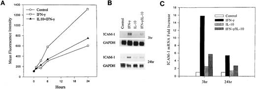 Fig. 1. IL-10 inhibits IFN-γ–induced ICAM-1 cell surface expression and mRNA accumulation. Monocytes were untreated (control) or treated with IFN-γ (100 U/mL), IL-10 (100 U/mL) or the combination for the indicated times. (A) Cell surface expression was measured by flow cytometry. Monocytes were identified by staining with PE-labeled anti-CD14 monoclonal antibody (mAb), and ICAM-1 was identified on CD14+ cells by staining with FITC-labeled anti–ICAM-1 mAb. (B) RNA was isolated from cytokine-stimulated monocytes, and total RNA was analyzed by Northern blot with ICAM-1 and GAPDH probes. (C) Normalized absorption values were obtained by densitometry scanning of ICAM-1 and GAPDH mRNA bands. From the ratio of ICAM-1 to GAPDH, the fold increase over untreated control cells was calculated. Data are representative of 3 experiments.