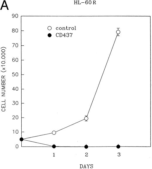 Fig. 1. (A) CD437 inhibition of HL-60R proliferation. HL-60R cells were seeded in RPMI 1640 at a cell density of 5 × 104 cells/mL. Cells were incubated overnight, after which vehicle alone (dimethyl sulfoxide at 0.1% final concentration) or CD437 (1 μmol/L final concentration) were added. Cells were harvested at various times and cell number determined using a hemocytometer. (B) HL-60R cells were grown as described above in the presence of various concentrations of CD437 for 48 hours. (C) HL-60 cells grown in the presence and absence of 1 μmol/L CD437, as described above. (D) K562 cells were grown as described above in the absence or presence of CD437 (1 μmol/L).