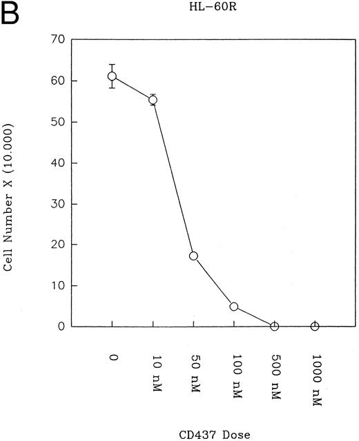Fig. 1. (A) CD437 inhibition of HL-60R proliferation. HL-60R cells were seeded in RPMI 1640 at a cell density of 5 × 104 cells/mL. Cells were incubated overnight, after which vehicle alone (dimethyl sulfoxide at 0.1% final concentration) or CD437 (1 μmol/L final concentration) were added. Cells were harvested at various times and cell number determined using a hemocytometer. (B) HL-60R cells were grown as described above in the presence of various concentrations of CD437 for 48 hours. (C) HL-60 cells grown in the presence and absence of 1 μmol/L CD437, as described above. (D) K562 cells were grown as described above in the absence or presence of CD437 (1 μmol/L).
