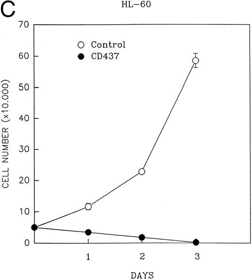 Fig. 1. (A) CD437 inhibition of HL-60R proliferation. HL-60R cells were seeded in RPMI 1640 at a cell density of 5 × 104 cells/mL. Cells were incubated overnight, after which vehicle alone (dimethyl sulfoxide at 0.1% final concentration) or CD437 (1 μmol/L final concentration) were added. Cells were harvested at various times and cell number determined using a hemocytometer. (B) HL-60R cells were grown as described above in the presence of various concentrations of CD437 for 48 hours. (C) HL-60 cells grown in the presence and absence of 1 μmol/L CD437, as described above. (D) K562 cells were grown as described above in the absence or presence of CD437 (1 μmol/L).