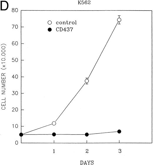 Fig. 1. (A) CD437 inhibition of HL-60R proliferation. HL-60R cells were seeded in RPMI 1640 at a cell density of 5 × 104 cells/mL. Cells were incubated overnight, after which vehicle alone (dimethyl sulfoxide at 0.1% final concentration) or CD437 (1 μmol/L final concentration) were added. Cells were harvested at various times and cell number determined using a hemocytometer. (B) HL-60R cells were grown as described above in the presence of various concentrations of CD437 for 48 hours. (C) HL-60 cells grown in the presence and absence of 1 μmol/L CD437, as described above. (D) K562 cells were grown as described above in the absence or presence of CD437 (1 μmol/L).