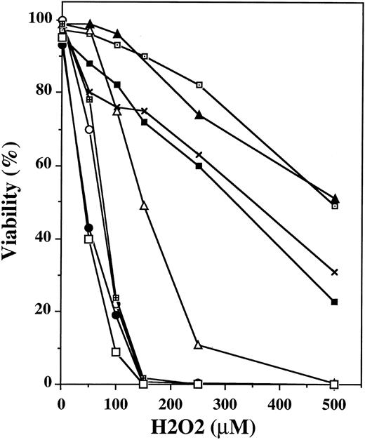Fig. 1. Relative susceptibility and resistance of BL cell lines and LCLs to killing by H2O2 . Cells were seeded at a density of 5 × 105/mL in growth medium. H2O2 was added as a bolus at the indicated concentrations. After 24 hours of incubation at 37°C, the number of live and dead cells was determined using trypan blue. The percentage of viability is defined as the number of live cells divided by the number of live plus dead cells. Also indicated are the p53 mutation (m indicates a mutated allele) and EBV infection status (+ indicates infected) for each cell line. Cell line (EBV, p53): (⊡) SHO (+, w/w); (▴) BJAB (−, w/m); (×) Tory (+, w/w); (▪) VDSO (+, w/w); (▵) CA-46 (−, m/m); (○) EW-36 (−, w/w); (⊞) JD-38 (−, m/m); (•) JLP 119 (−, w/w); (□) ST-486 (−, w/m).