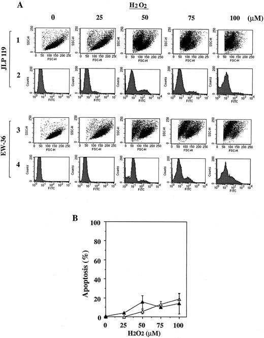 Fig. 10. Flow cytometric analysis of JLP 119 and EW-36 treated with different concentrations of H2O2 . (A) Flow cytometer data. Cells (5 × 105/mL) were incubated in growth medium for 24 hours after the addition of the indicated concentrations of H2O2 (0, 25, 50, 75, or 100 μmol/L). FACS analysis of fixed cells was performed as described in the Materials and Methods. Rows 1 and 3, cytograms showing forward and side light scatter (FSC and SSC, respectively) for 10,000 cellular events. Rows 2 and 4, histograms of FITC-labeled DNA for the cells shown in the cytograms. Rows 1 and 2, results for JPL-119. Rows 3 and 4, results for EW-36. Cells with a high FITC-labeling intensity represent apoptotic cells. The data shown are from a representative study that was repeated three times. (B) Proportion of JLP 119 (▴) and EW-36 (▵) cells that are undergoing apoptosis at each concentration of H2O2 . The percentage of apoptosis equals the high FITC-labeled population divided by the total cell population. Each point is derived from 10,000 cellular events and represents the mean ± SEM of triplicate cultures.