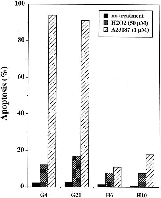 Fig. 13. Flow cytometric TUNEL assay of JLP 119–bcl-2 transfectants treated with H2O2 or A23187. JLP 119 cells with a stable transfection of either control plasmid (G4 and G21) or plasmid expressing the human bcl-2 gene (H6 and H10) were tested for induction of TUNEL activity as described in the legends to Figs 7 and 10. (▨) H2O2 was added at 50 μmol/L and cells were assayed 24 hours later. (▨) A23187 was added 1 μmol/L and the cells were assayed 48 hours later. The data are taken from one representative experiment. (▪) No treatment.
