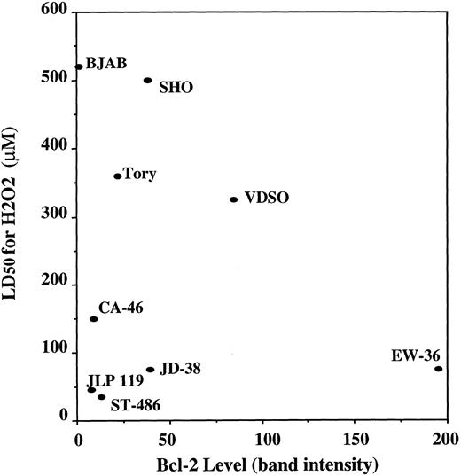 Fig. 3. Correlation between susceptibility to H2O2 toxicity and the level of expression of Bcl-2 protein. The data are compiled from Figs 1 and 2. LD50 is defined as the concentration of H2O2 that kills 50% of the cells after 24 hours of incubation. The level of Bcl-2 protein expression was unaffected by H2O2 treatment (not shown).