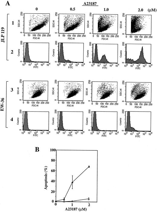 Fig. 7. Flow cytometric analysis of JLP 119 and EW-36 treated with A23187. (A) Flow cytometer plots. Cells (5 × 105/mL) were incubated in growth medium containing the indicated concentrations of A23187 (0, 0.5, 1.0, or 2.0 μmol/L) for 48 hours. FACS analysis of fixed cells was performed as described in the Materials and Methods. Rows 1 and 3, cytograms showing forward and side light scatter (FSC and SSC, respectively) for 10,000 cellular events. Rows 2 and 4, histograms of FITC-labeled DNA for the cells shown in the cytograms. Rows 1 and 2, results for JPL-119. Rows 3 and 4, results for EW-36. The population with high FITC intensity in each histogram (right-hand peak) represents apoptotic cells. The data shown are from a representative study that was repeated three times. (B) Proportion of JLP 119 (▴) and EW-36 (▵) cells that are undergoing apoptosis at each concentration of A23187. The percentage of apoptosis equals the high FITC-labeled population divided by the total cell population. Each point is derived from 10,000 cellular events and represents the mean ± SEM of triplicate cultures.