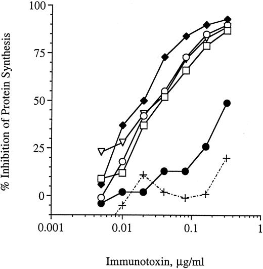 Fig. 1. Stability of G28-5 sFv-PE40 in SCID mouse serum. G28-5 sFv-PE40 was incubated at 37°C in mouse serum at 20 μg/mL for 0 (□), 2 (♦), 4 (○), 6 (▿), or 24 hours (•) and then analyzed for protein synthesis inhibition activity on Ramos cells. Dilutions of serum (+) were used as a control. Data shown are the averages of three samples per time point.