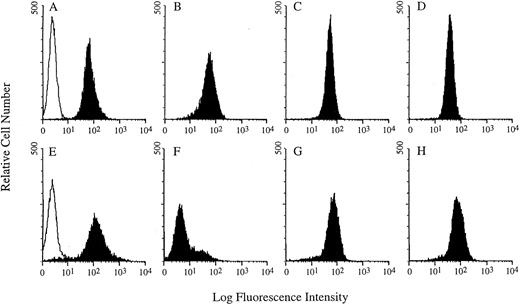 Fig. 5. Comparative FACS analysis of Ramos cells cultured in vitro (A through D) and solid tumor samples excised from SCID mice (E through H). The solid histograms show CD19 (A and E), CD20 (B and F ), CD22 (C and G), and CD40 (D and H) expression. The open histograms in (A) and (E) represent the background fluorescence due to the binding of a nonspecific antibody.