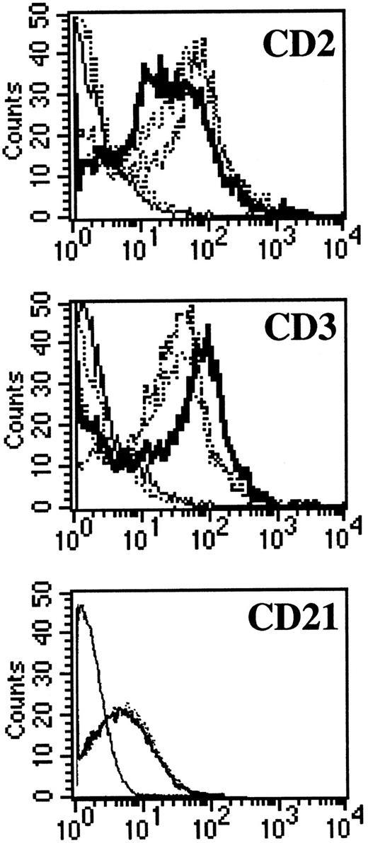 Fig. 6. CD3, CD2, and CD21 expression on NC5 and TC cell lines. One EBV B-cell line (negative dotted line), Jurkatt T-cells (thick black line), and the EBV-transformed T-cell lines NC5 and TC (positives dotted lines) were analyzed for expression of the CD2 and CD3 T-cell–specific antigens. The isotype control is shown as a straight black line. In addition, the EBV B-cell line and the two EBV-transformed T cells, NC5 and TC, were analyzed for the expression of CD21. The different histograms for the three different lines were completely indistinguishable.