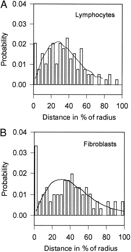 Fig. 4. Distributions of the distances between c-MYC and unique telomere 14q sequences (TMm ; lying adjacent to the Ig heavy chain locus) in human lymphocytes incubated for 50 hours with PHA (A) and in human fibroblasts (B). The curves represent the theoretical distributions calculated by Monte-Carlo simulation using experimentally determined center-to-gene distributions (not shown). Human fibroblasts (VF-10) were grown in RPMI medium supplemented with 10% fetal calf serum, 0.5% L-glutamine, 1% glucose, and antibiotics at 37°C to the confluent state.