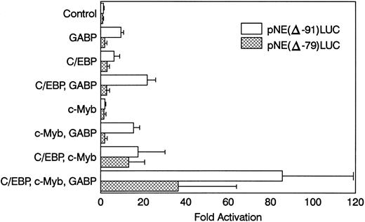 Fig. 6. GABP cooperates with c-Myb and C/EBPα to activate mNE transcription. NIH 3T3 cells were transfected with 3 μg pNE(Δ-91)LUC (□) or pNE(Δ-79)LUC (▩) and 0.25 μg pCAT-Control as an internal control for transfection efficiency. Where indicated, cells were cotransfected with pCAGGS-GABPα and pCAGGS-GABPβ (0.1 μg each) or pCAGGS empty vector, pMSV-C/EBPα (0.04 μg), and pCMV-Myb (0.5 μg). Data from 3 independent experiments are shown as the mean ± SEM.
