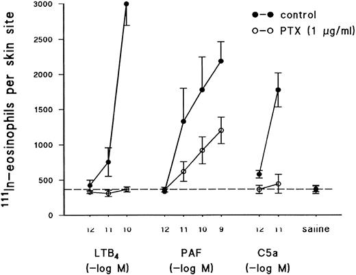 Fig. 3. Effect of PTX on the recruitment of 111In-eosinophils in response to intradermal injection of C5a, LTB4 , or PAF. Eosinophils were pretreated for 2.5 hours with PTX (1 μg/mL, see the Materials and Methods) or vehicle. The cells were then labeled with 111In and injected intravenously (2.5 × 106 cells/animal) into recipient guinea pigs. 111In-eosinophil recruitment was measured 1 hour after the intrademal injection of PAF (10−12 to 10−10 mol/site), C5a (10−12 and 10−11 mol/site), and LTB4 (10−12 to 10−10 mol/site). The dashed line across the graph represents background values in response to injection of saline. Results are the mean ± SEM of five pairs of animals.