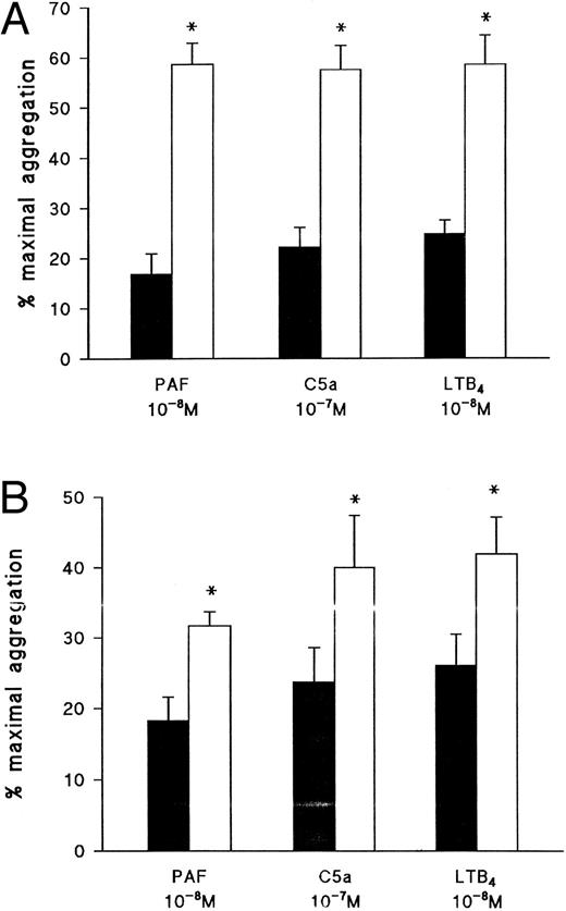 Fig. 5. Effect of (A) staurosporine and (B) the protein kinase A inhibitor H89 on eosinophil aggregation induced by PAF, C5a, or LTB4 . Eosinophils were pretreated for 3 minutes with vehicle (▪), staurosporine (10−7 mol/L; □), or H89 (10−5 mol/L; □) before the addition of PAF (10−8 mol/L), C5a (10−7 mol/L), or LTB4 (10−8 mol/L). Results are expressed as the percentage of maximal aggregation induced by PMA (10−7 mol/L) and each point is the mean ± SEM for four experiments. *P < .05 when compared with control values.