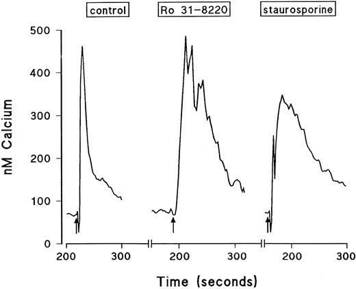 Fig. 6. Typical traces showing the effect of Ro 31-8220 and staurosporine on intracellular calcium transients induced by a maximally effective concentration of LTB4. Eosinophils were labeled with fura-2-acetoxymethyl ester and washed and changes in fluorescence were monitored. The cells were pretreated for 3 minutes with vehicle, Ro 31-8220 (3 × 10−5 mol/L), or staurosporine (10−7 mol/L) before the addition of LTB4 (10−8 mol/L, shown by the arrows). Results are expressed as the increase in intracellular calcium in nanomoles per liter as a function of time (in seconds).