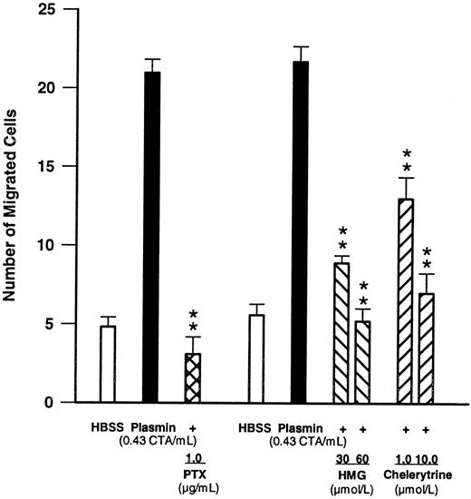 Fig. 4. Effects of PTX (1 μg/mL, 90-minute preincubation) and of the PKC inhibitors HMG and chelerythrine on plasmin-induced monocyte migration. **P < .01 v the appropriate plasmin control. Results are the mean ± SEM of 4 experiments each.