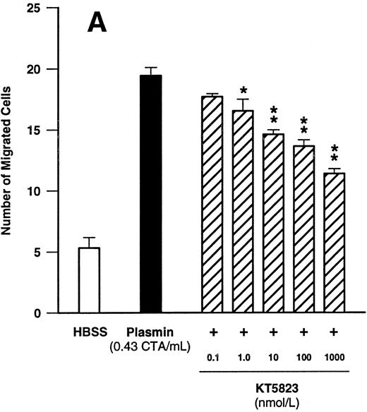 Fig. 7. Concentration-dependent effects of inhibitors of the cGMP-dependent kinase such as KT5823 (A) and (Rp)-8-pCPT-cGMPS (B) on plasmin-induced monocyte migration. *P < .05 and **P < .01 v appropriate plasmin controls. Results are the mean ± SEM of 4 experiments each.