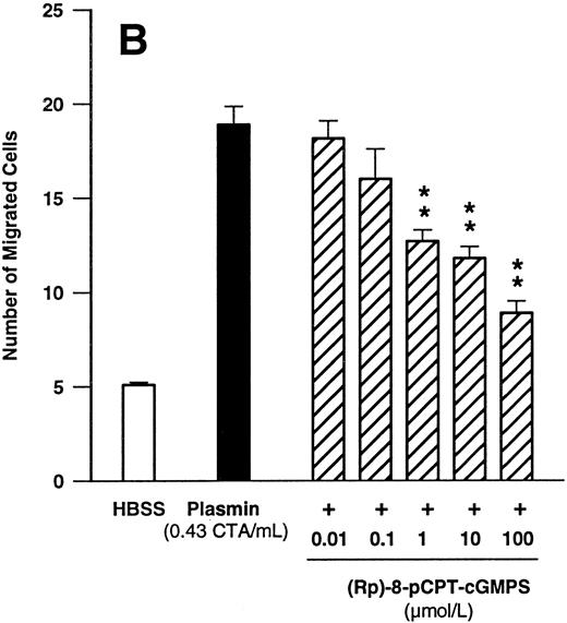 Fig. 7. Concentration-dependent effects of inhibitors of the cGMP-dependent kinase such as KT5823 (A) and (Rp)-8-pCPT-cGMPS (B) on plasmin-induced monocyte migration. *P < .05 and **P < .01 v appropriate plasmin controls. Results are the mean ± SEM of 4 experiments each.