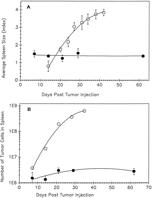 Fig. 3. Analysis of amplified α-spectrin cDNA by acrylamide gel electrophoresis. After amplification of reticulocyte RNA of the region encompassing exons 19-21 of the α-spectrin gene from control (C), the parents (F, M) and the propositus (P), amplification products were analyzed by electrophoresis in a 6% acrylamide gel. The 217-bp expected sized band was observed in the control (C) and both parents (F, M). Two additional bands were also present in both parents and the propositus corresponding to the skipping of exon 20 (124 bp) and the insertion of 12 nucleotides upstream of exon 20 (229 bp).