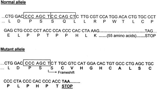 Fig. 4. DNA sequence and encoded amino acid sequence of parts of the normal allele (top) and mutant allele (bottom) of exon 8 of the EpoR gene. The position of the 7-bp direct repeat is indicated by the two boxes in the normal allele. The 55 C-terminal amino acids encoded by the normal allele are not shown. The mutant allele (del5985-5991) contains a 7-bp deletion. The arrow indicates the position of the frameshift resulting in an abnormal amino acid sequence (bold letters). A chain termination codon is encountered after the 17th amino acid in the new reading frame.