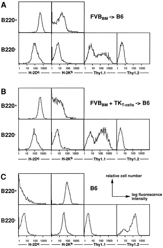 Fig. 3. Analysis of hematologic reconstitution after BMT. Spleen cells from (A) B6 mice grafted with FVB BM and (B) B6 mice grafted with FVB BM plus EpTK T cells and treated with GCV were analyzed at different times after BMT. (C) is a B6 control mouse. Three-color flow cytometric analyses were performed with a combination of the B-cell–specific B220 MoAb with Thy1.2 and H-2b (recipient type) or Thy1.1 and H-2q (donor type) MoAbs. Monoparametric histograms are depicted in B220+ and B220− gated subsets. Data are representative of reproducible experiments performed at days 22, 51, 70, and 212 after BMT.